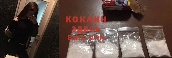 тгк Богданович
