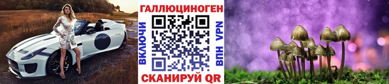 Галлюциногенные грибы MAGIC MUSHROOMS  продажа наркотиков  Тосно 